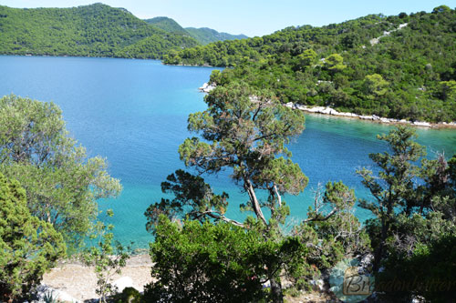 Mljet-Dubrovnik-island-croatia