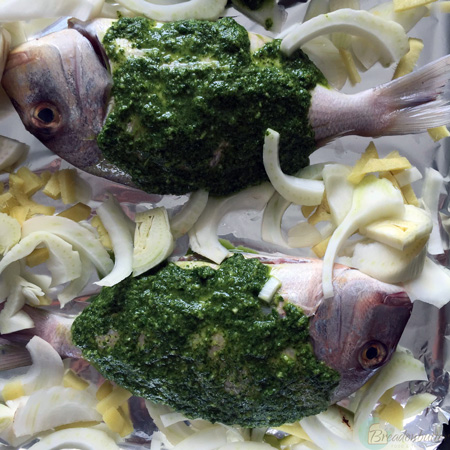 grilled fish with coriander sauce | breadonbutter