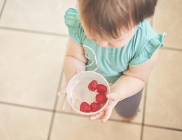 toddler snacks | breadonbutter