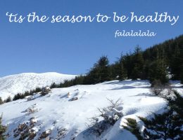 healthy holiday tips | breadonbutter