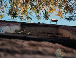 byblos | breadonbutter