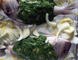 grilled fish with coriander sauce | breadonbutter